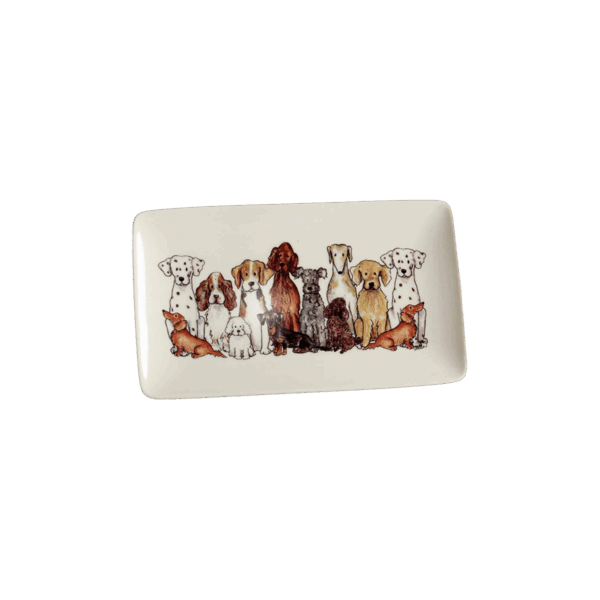 Assiett L.21cm, B.13cm