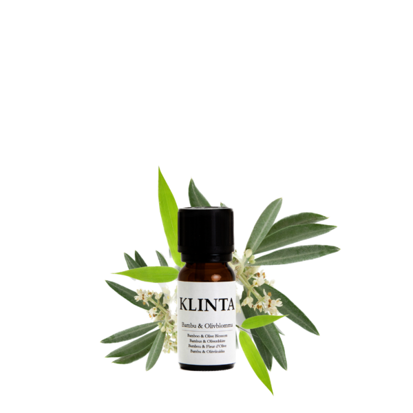 Doftolja 10ml - Bambu & Olivblomma