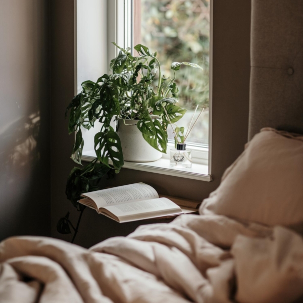 Doftpinnar 120ml - Palo Santo