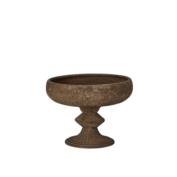 DAGA Pokal Rost