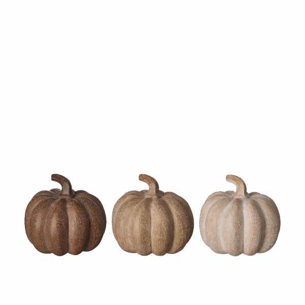 PUMPA Mix i Box 6x7cm