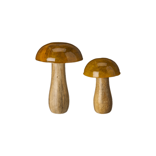 KAVYA Svamp Mix Natur/Gul