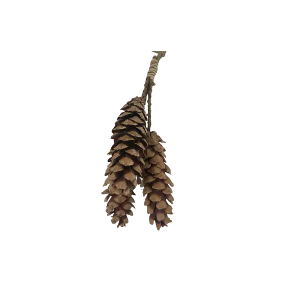 NATURE PENDANT PINE CONE ON STEM LARGE