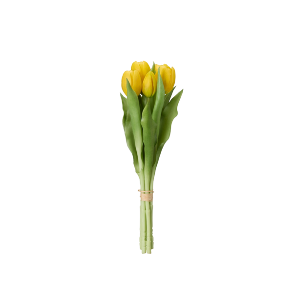 TULPANER Bunt Gul 31cm