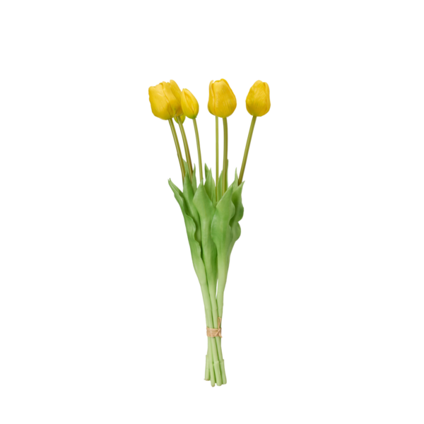 TULPANER Bunt Gul 47cm