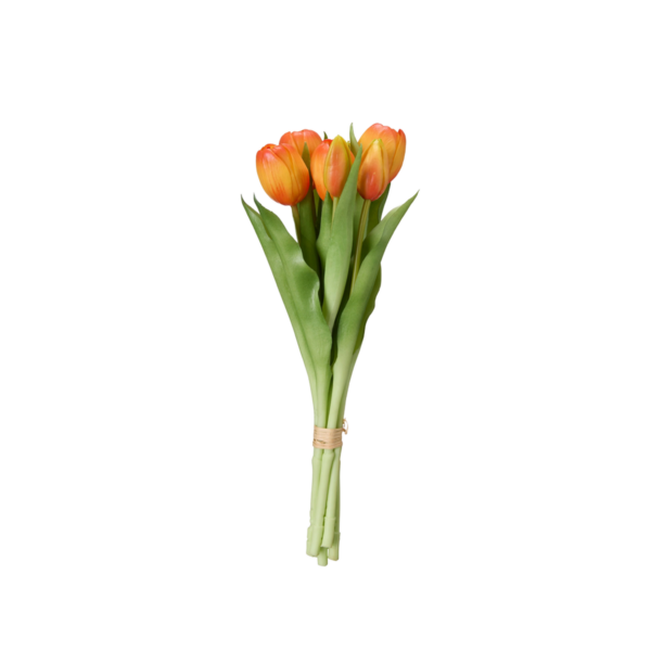 TULPANER Bunt Orange 31cm