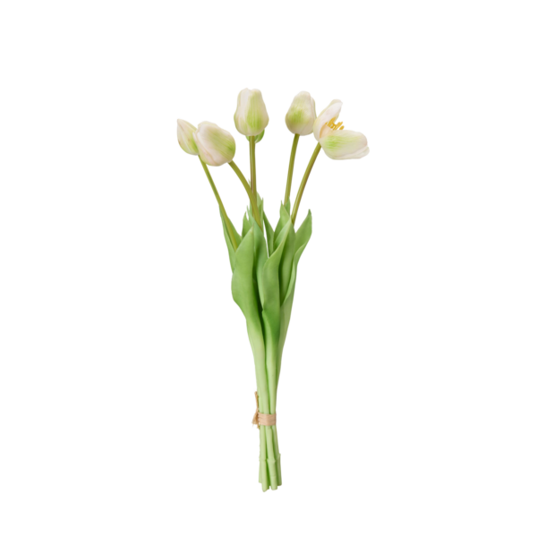 TULPANER Bunt Vit 47cm