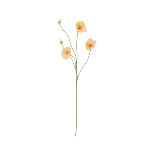 Poppy Stem, Nature, Artificial Flowers
