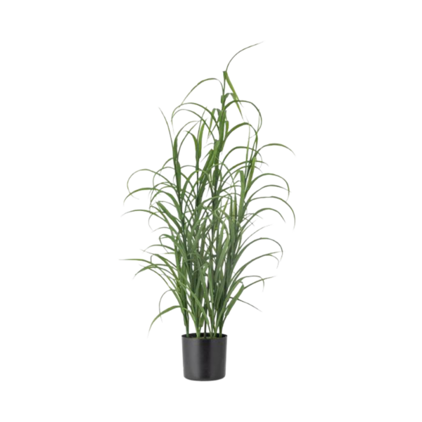 Grass Plant, Green, Artificial Flowers