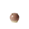 Sockerskål- oldrose